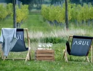 Winnica Jura