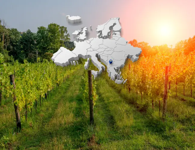 Kluczowe kroki do rejestracji wina w ramach oznaczeń geograficznych UE